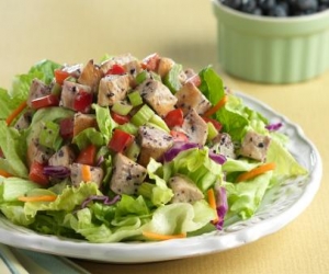 Grilled Asian Chicken Salad