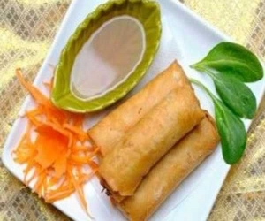 Spring Rolls